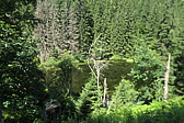 p1080625.jpg