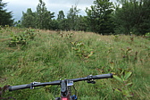 p1080823.jpg