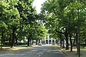 p1080828.jpg