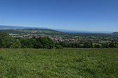 p1020150.jpg