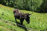p1020156.jpg