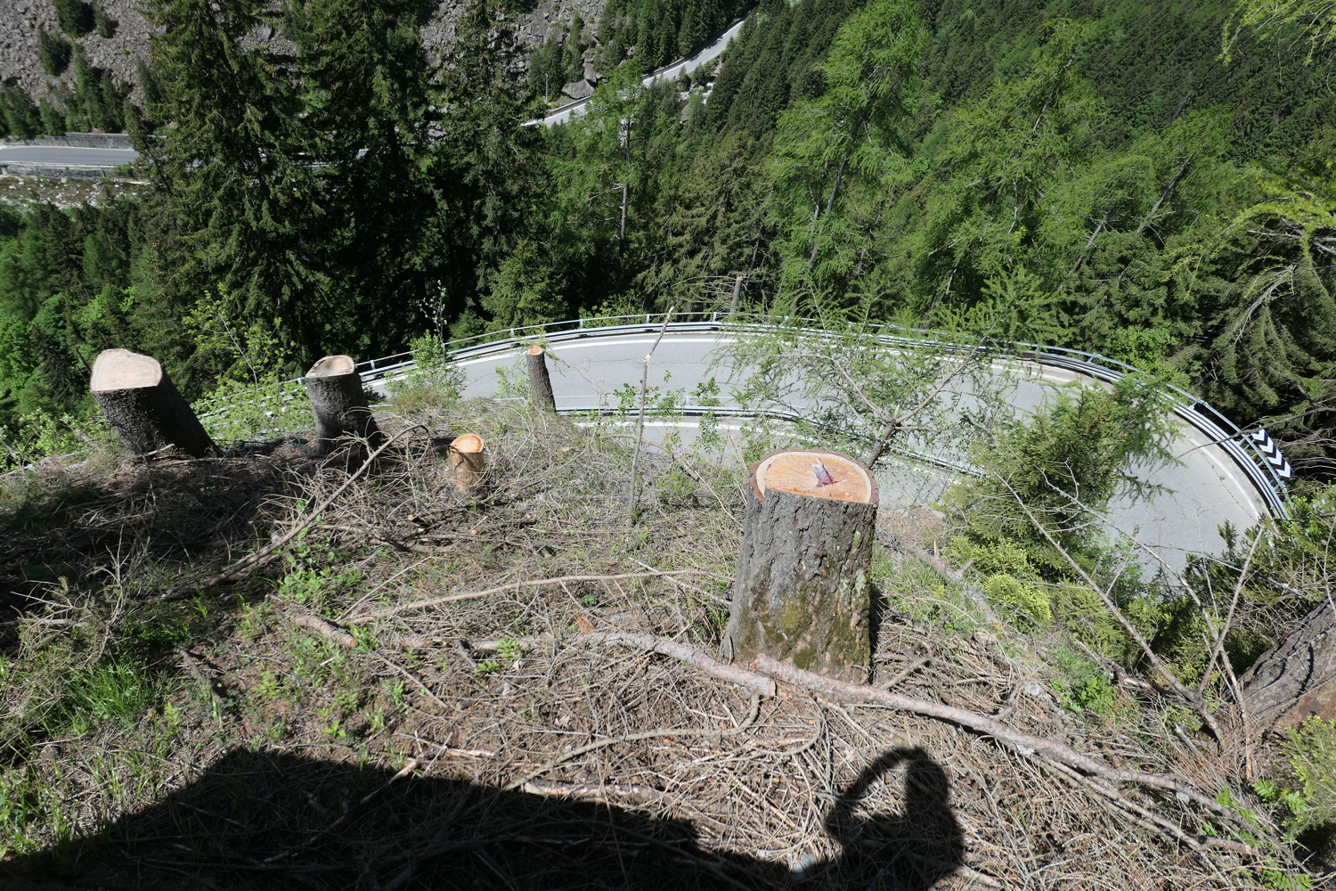 p1020224.jpg