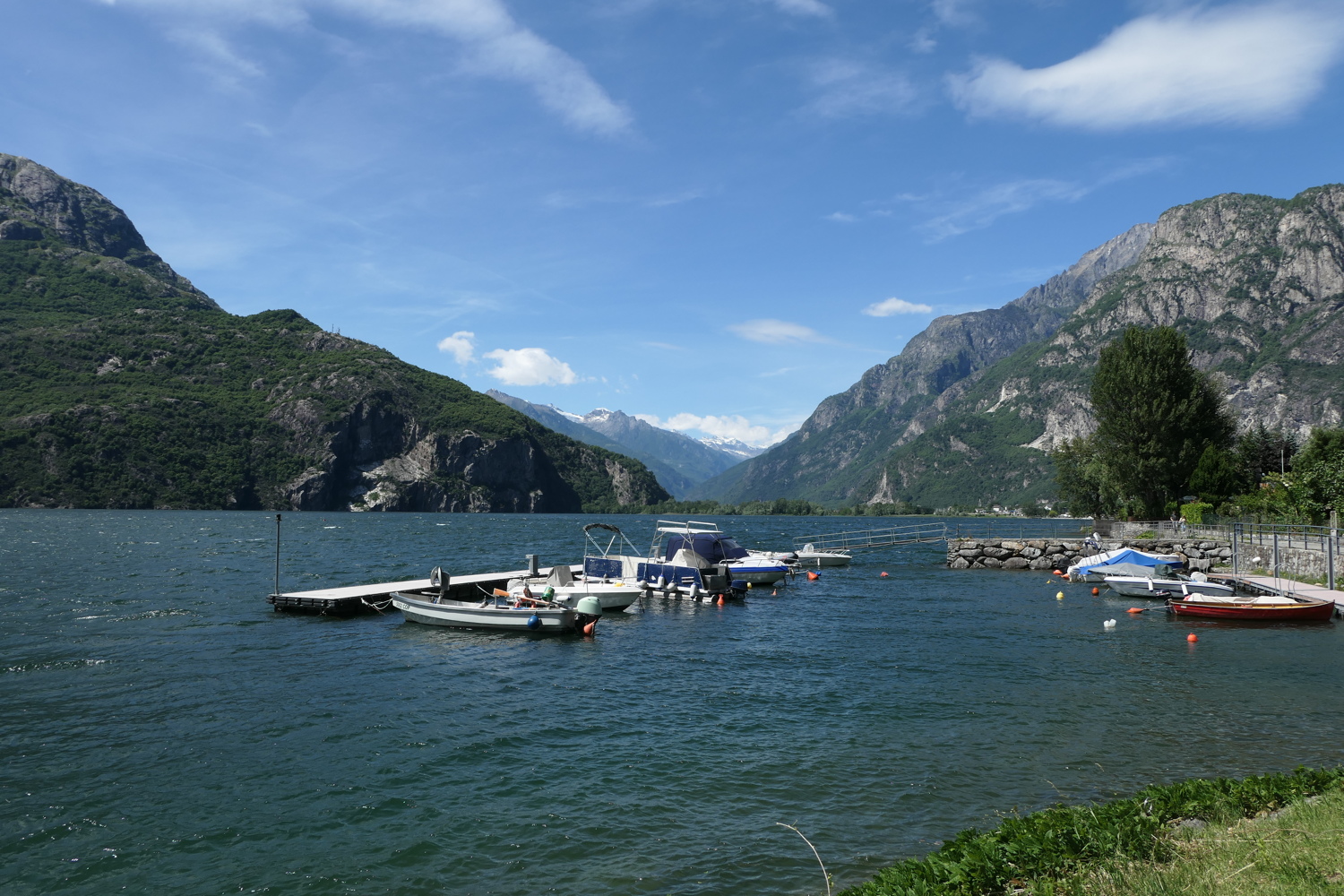 p1020231.jpg