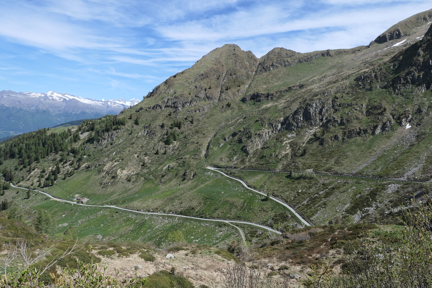 p1020253.jpg