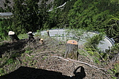 p1020224.jpg