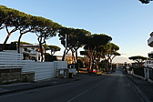 p1050587.jpg
