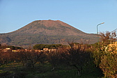 p1050589.jpg