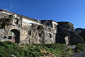 p1050594.jpg
