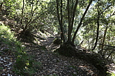 p1050599.jpg