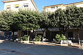 p1050623.jpg