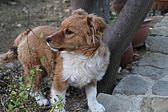 p1050626.jpg