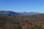 p1050687.jpg