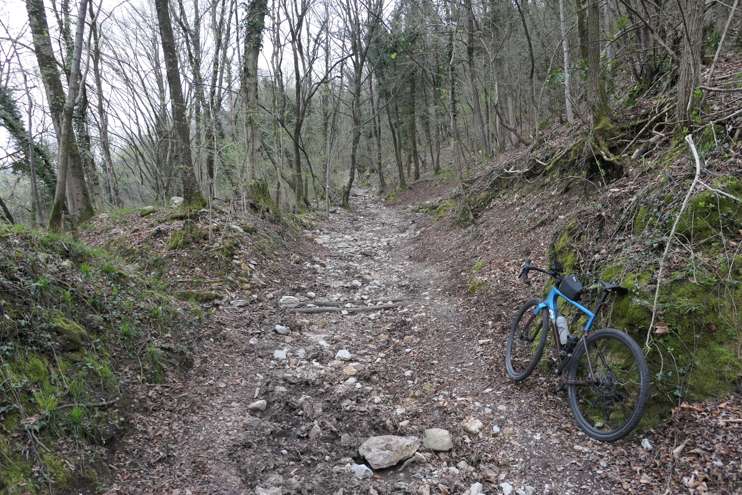 p1010693.jpg
