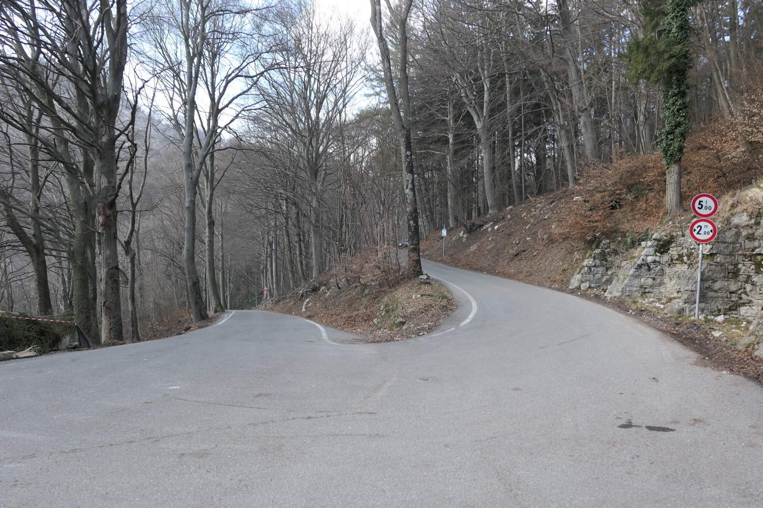 p1010716.jpg