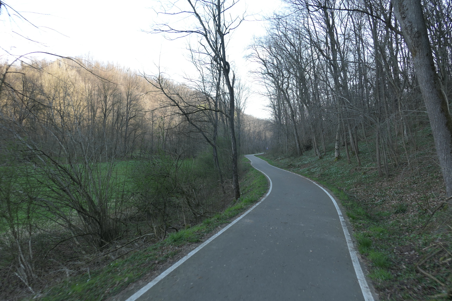 p1010729.jpg