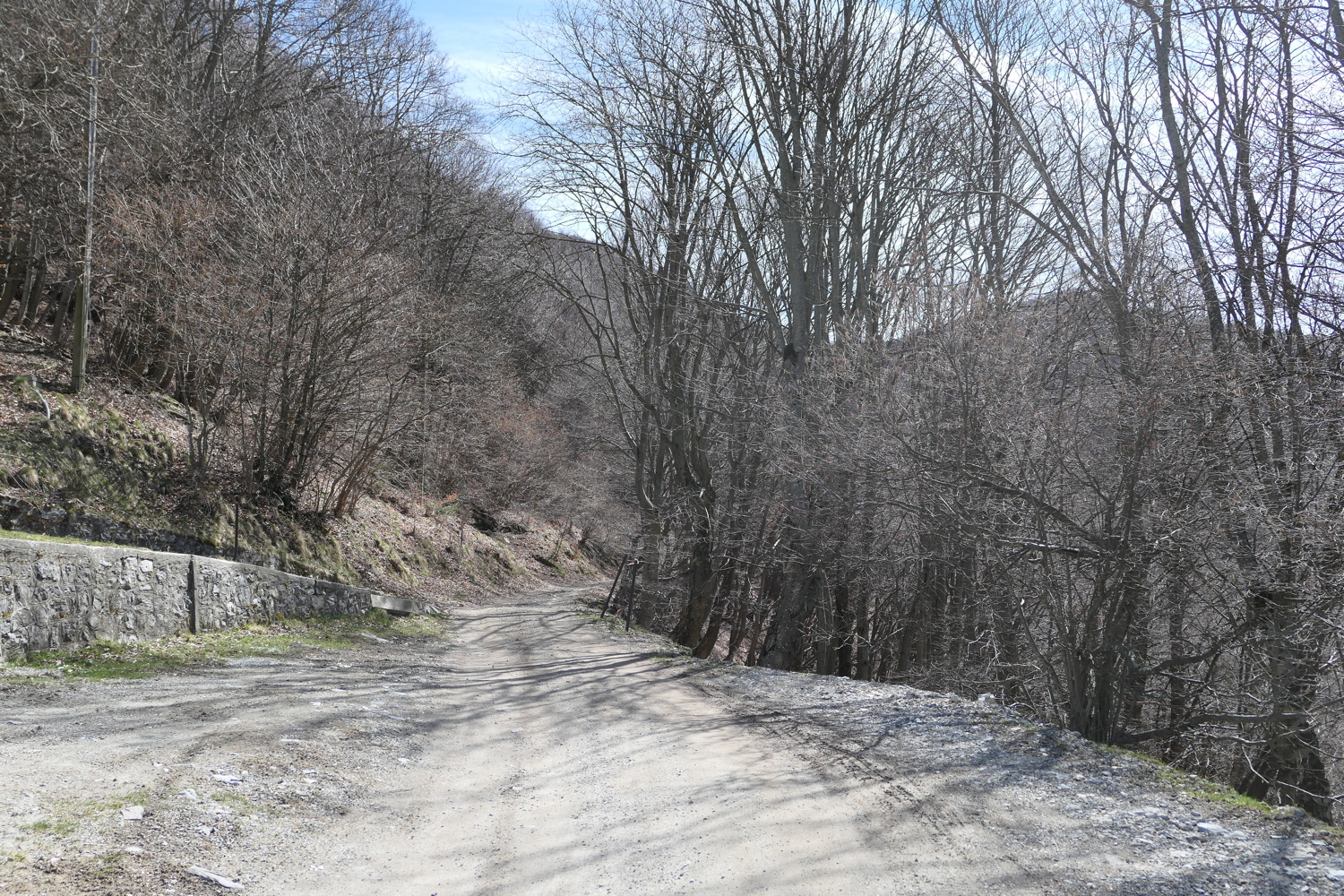 p1010743.jpg