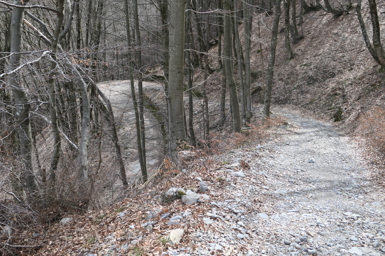 p1010748.jpg