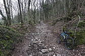 p1010693.jpg
