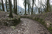 p1010694.jpg