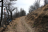 p1010708.jpg