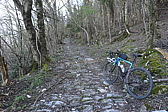 p1010734.jpg