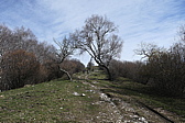p1010736.jpg