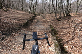 p1010749.jpg