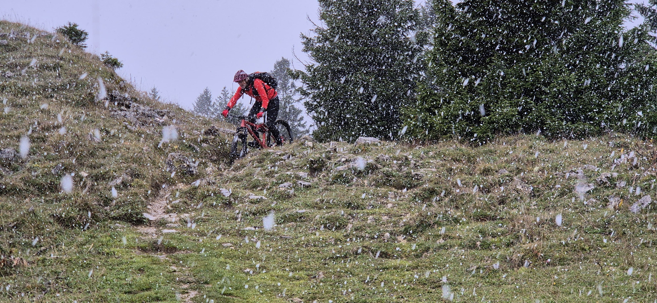 p1030690c.jpg