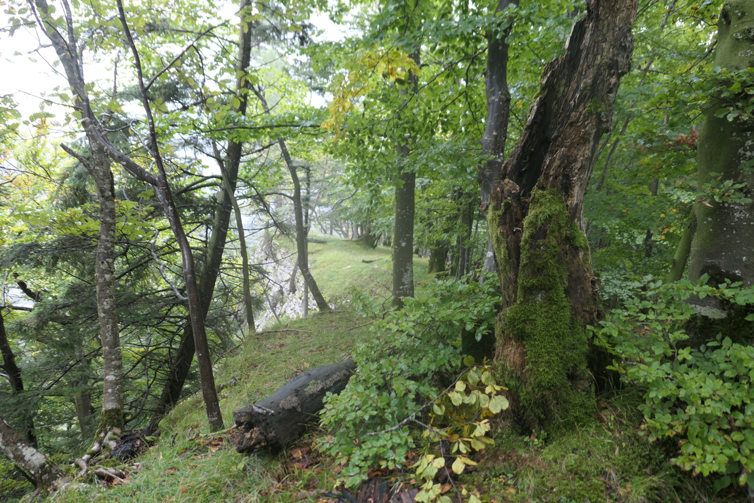 p1030700.jpg