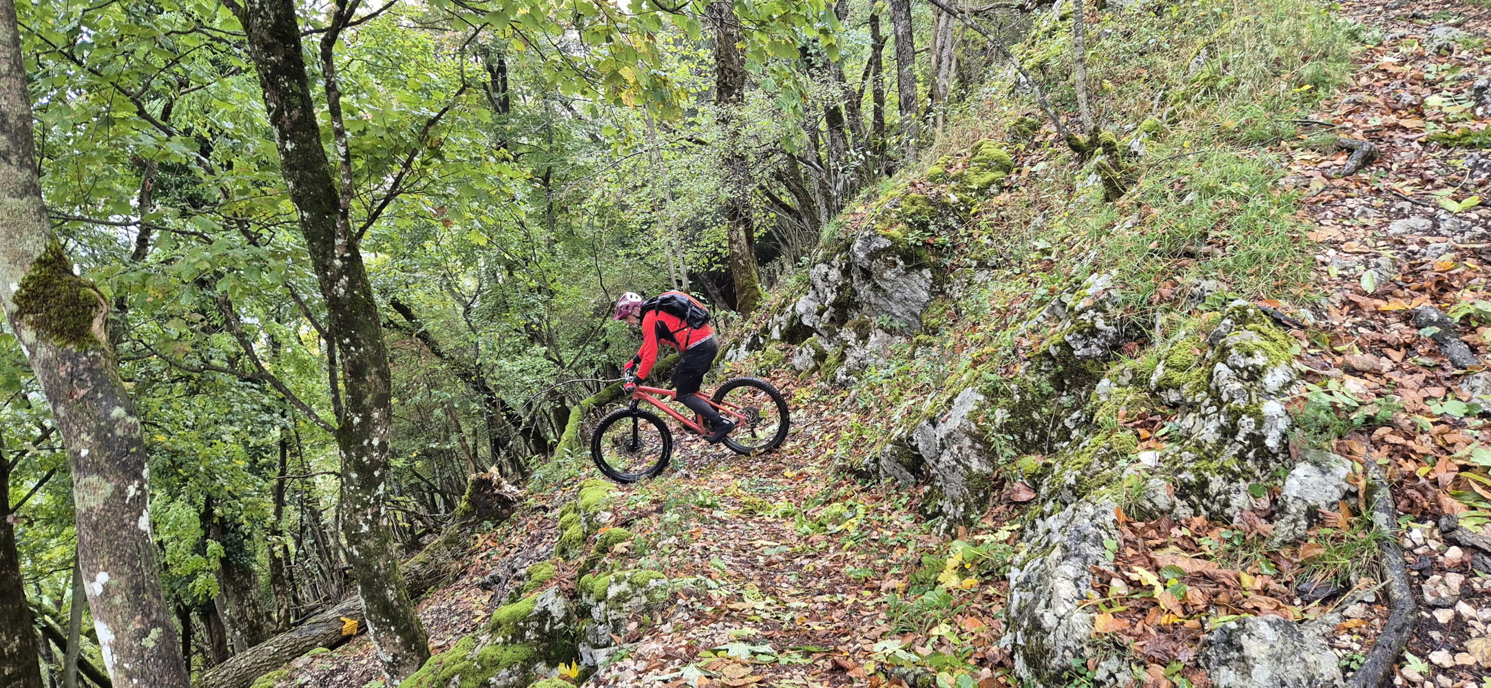 p1030700b.jpg