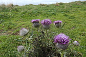 p1030686.jpg