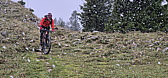 p1030690b.jpg