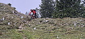 p1030690c.jpg