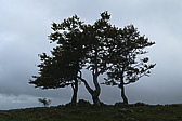 p1030696.jpg