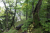 p1030700.jpg