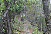p1030704.jpg
