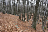 p1050579.jpg