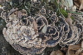p1050582.jpg