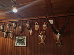 p1010353a.jpeg