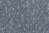 p1010356.jpg