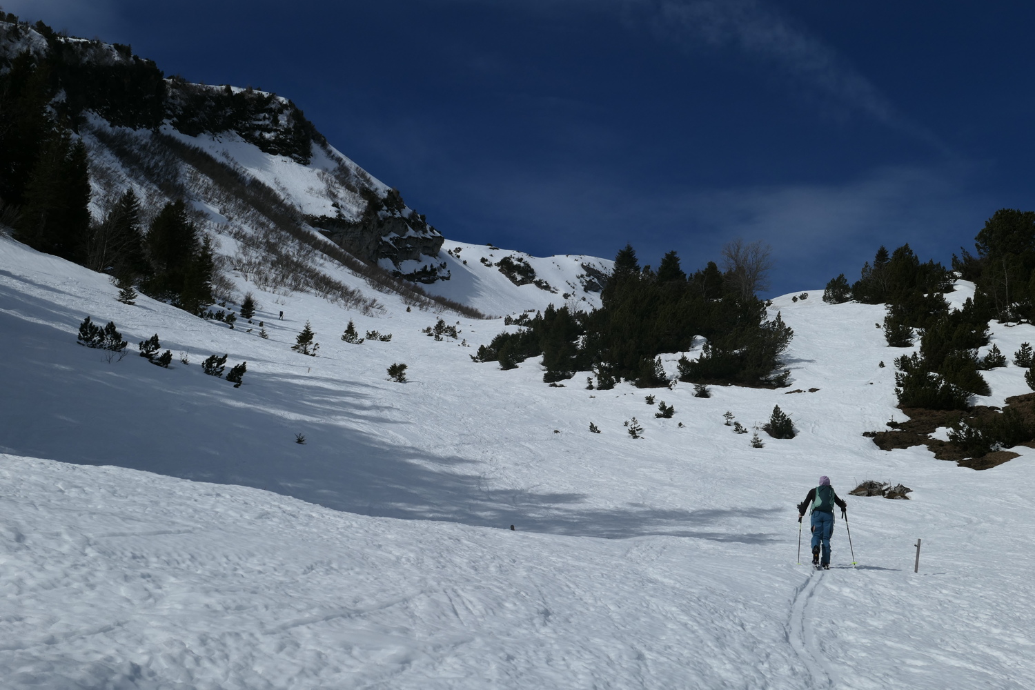 p1010663.jpg
