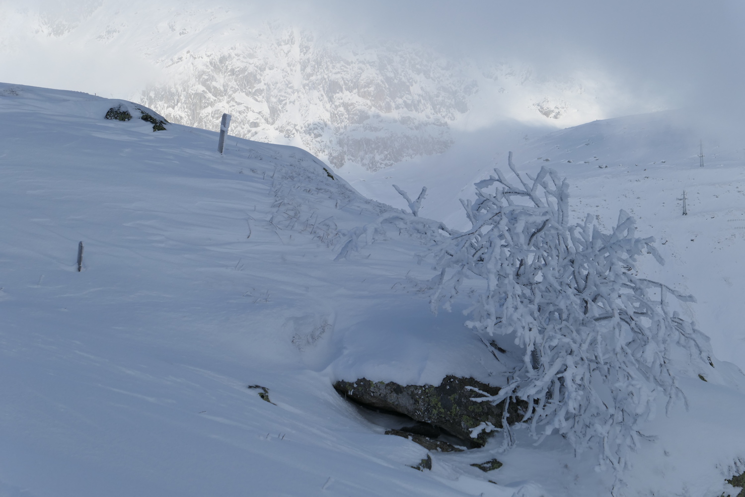 p1010282.jpg