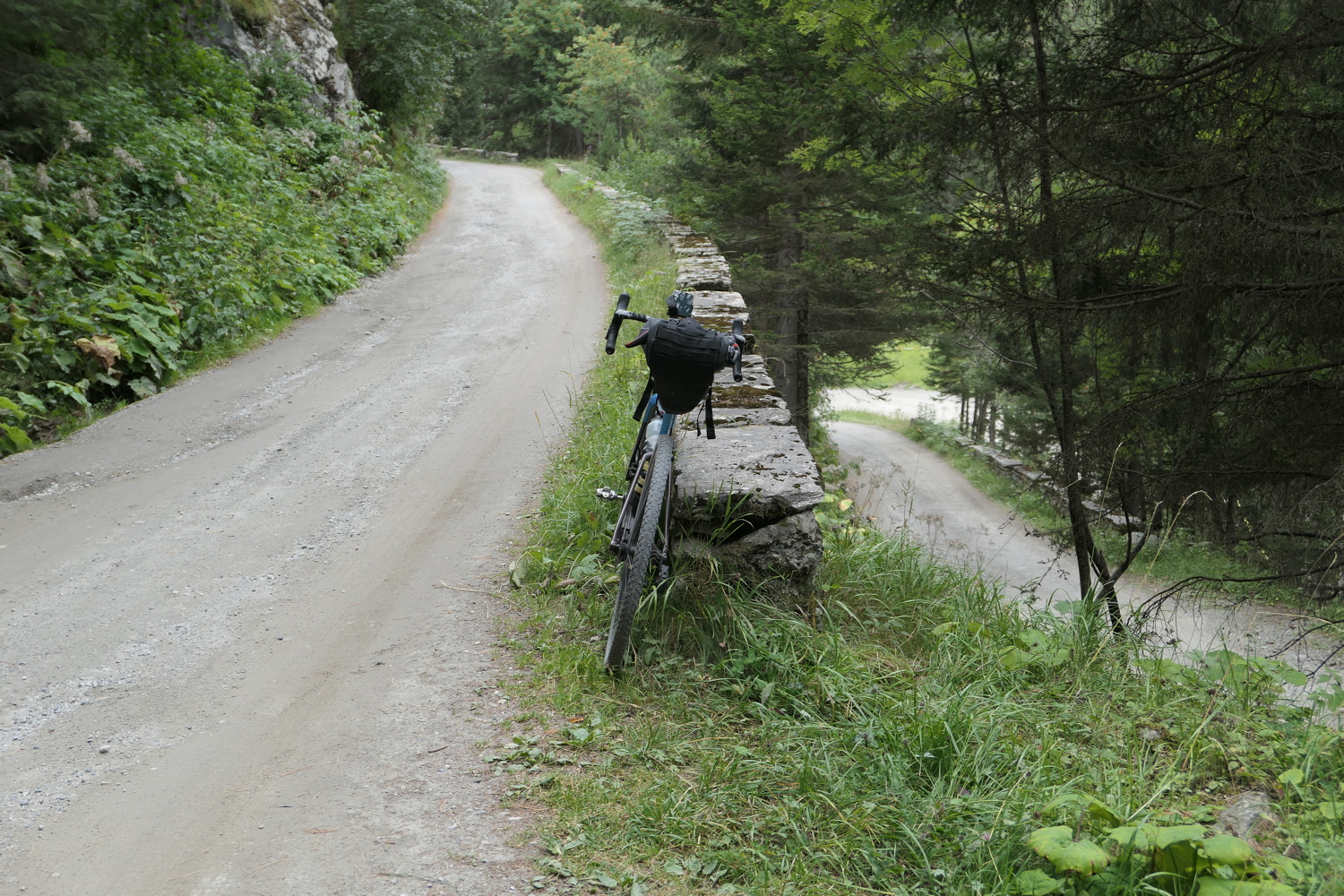 p1030313.jpg