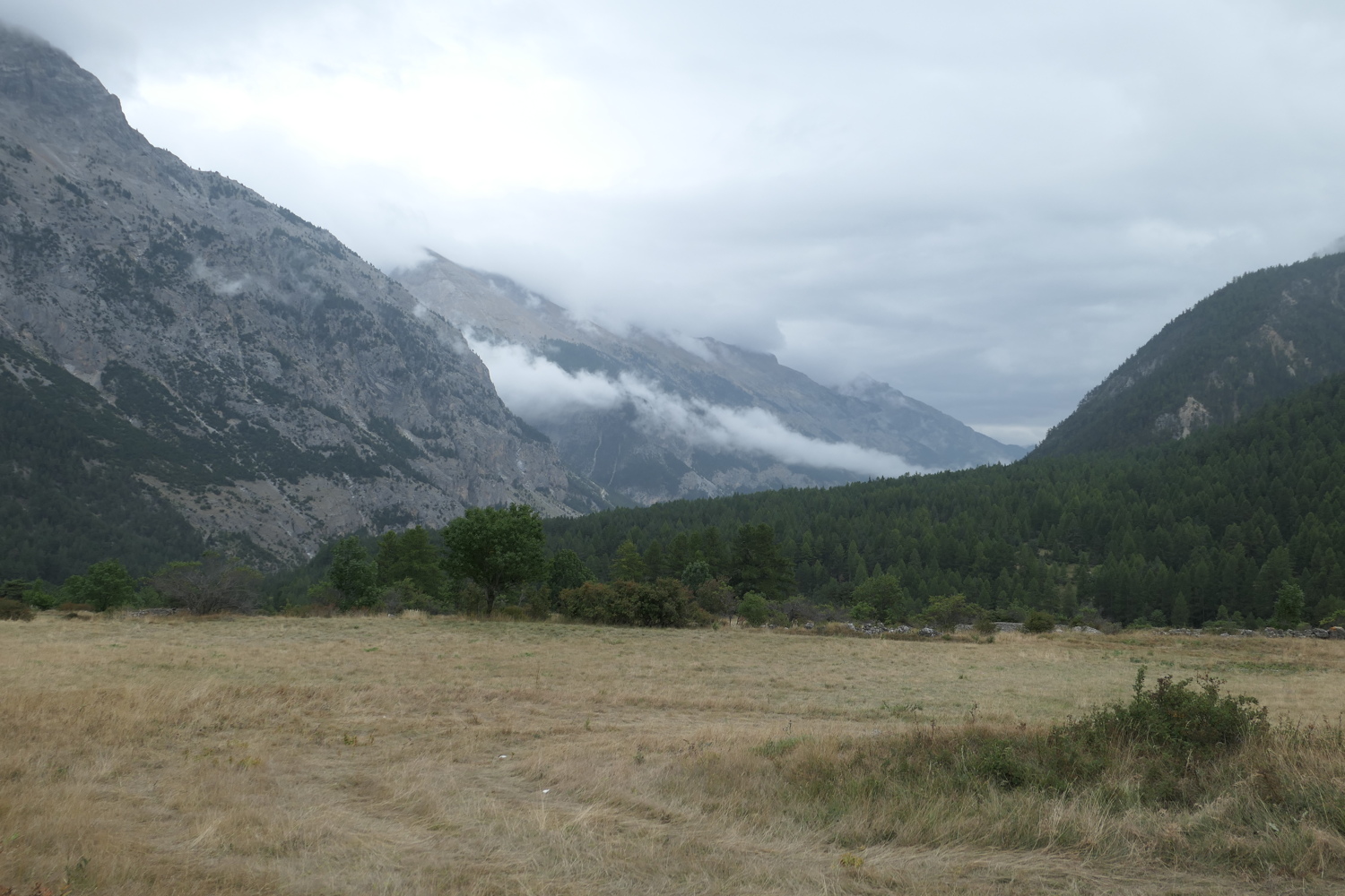 p1030347.jpg