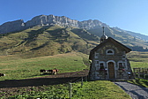 p1030234.jpg