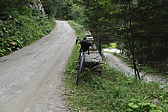 p1030313.jpg