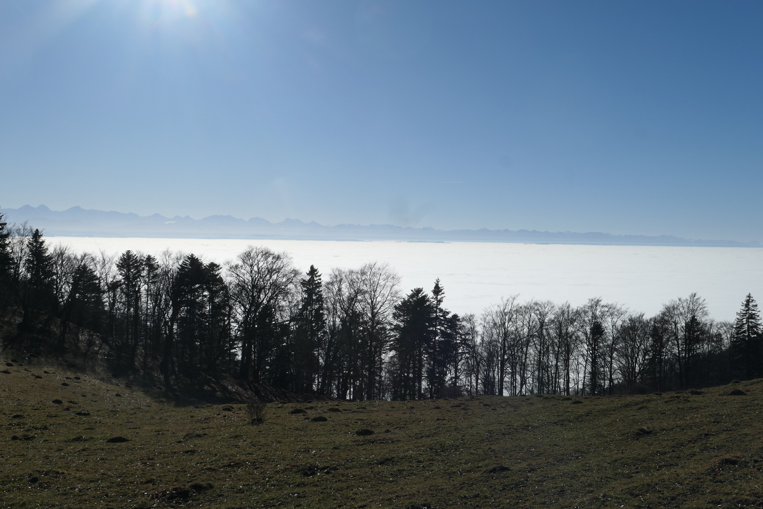 p1050472.jpg