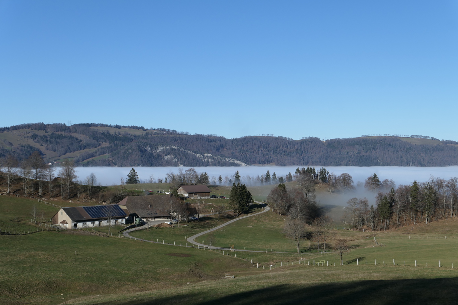 p1050487.jpg