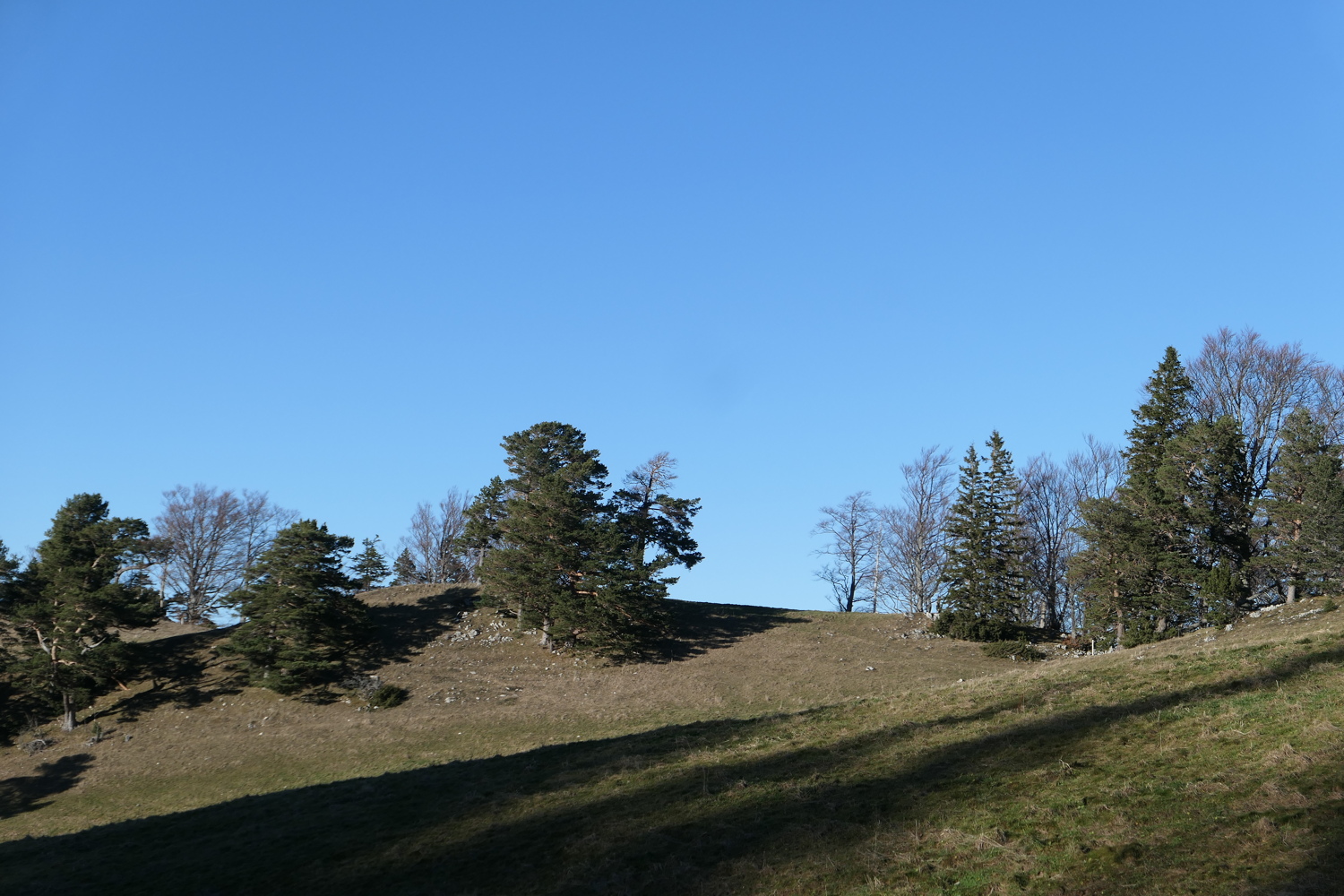 p1050495.jpg