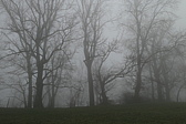 p1050456.jpg
